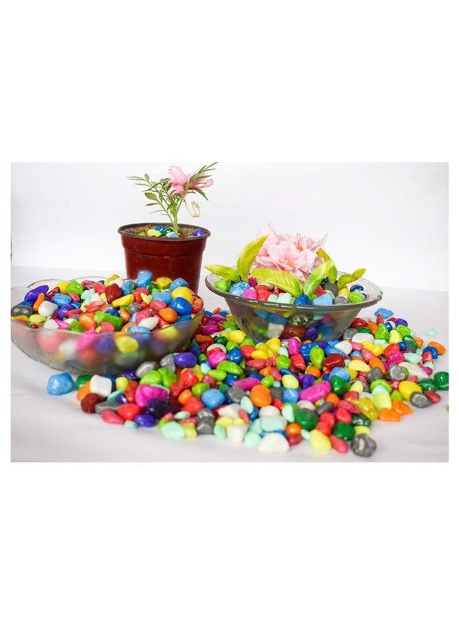 Somil Multicolor Pebbles/Stones for Garden, Plants, Lawns, Aquariums, Fish Pots, Home Decor, Vases, Furniture Filler. Size: 10-30mm, Shiny Multicolor -A189 - Image 5